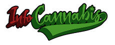 Infocannabis Magazine