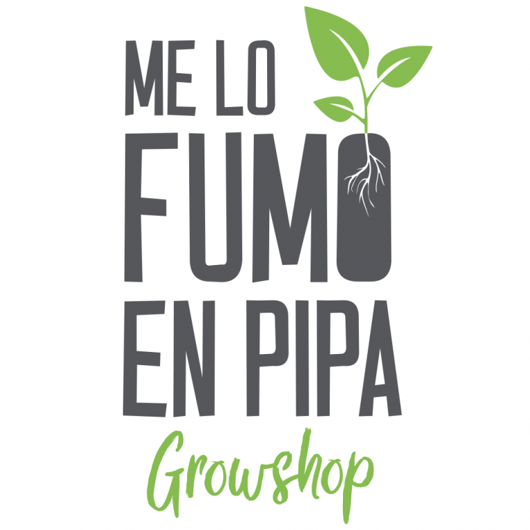 me lo fumo en pipa